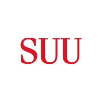 Partner University